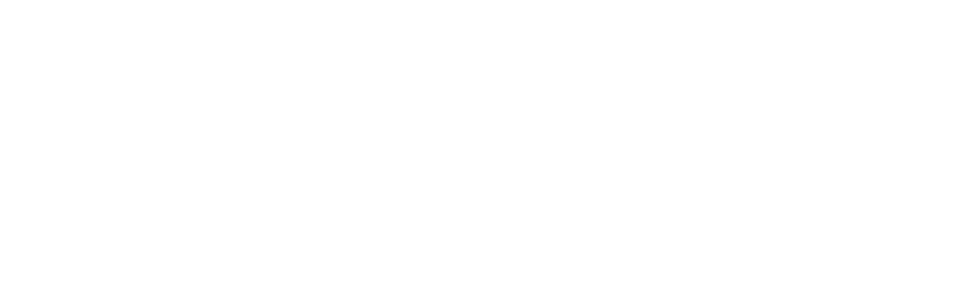 Fundación ACCIÓN DIBAL